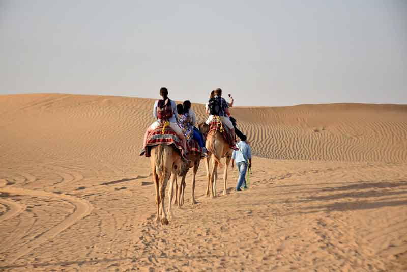 Balade à dos de chameau dans le désert près d'Abu Dhabi avec des dunes de sable à perte de vue