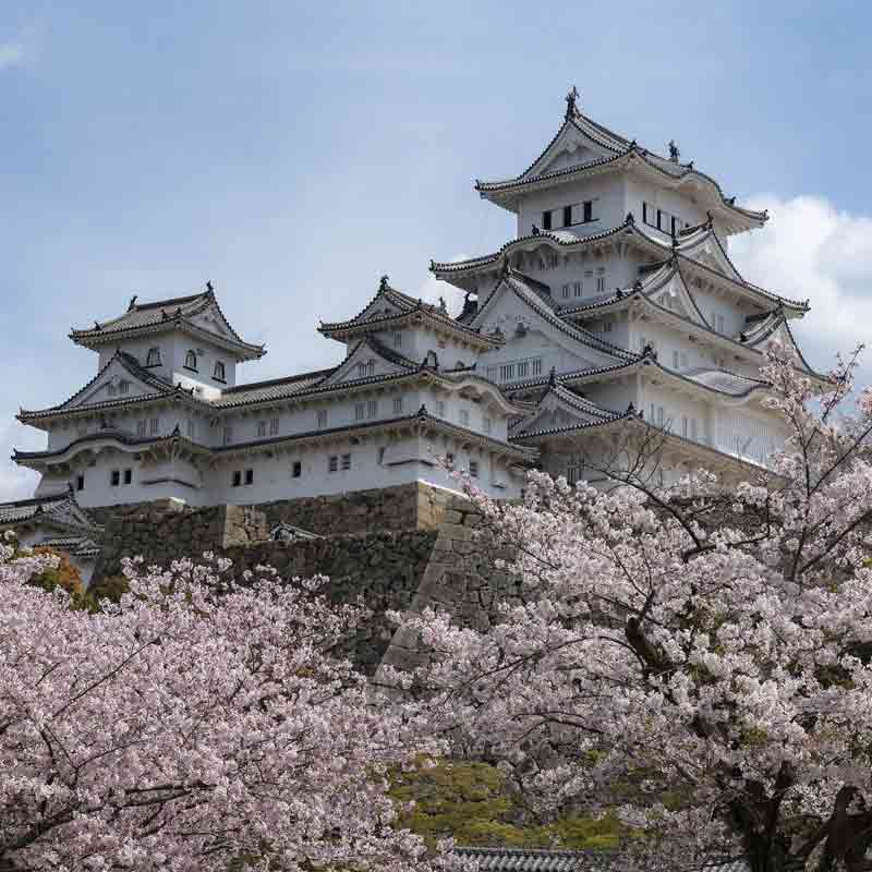 Chteau de Himeji dans la prfecture de Hyogo au Japon