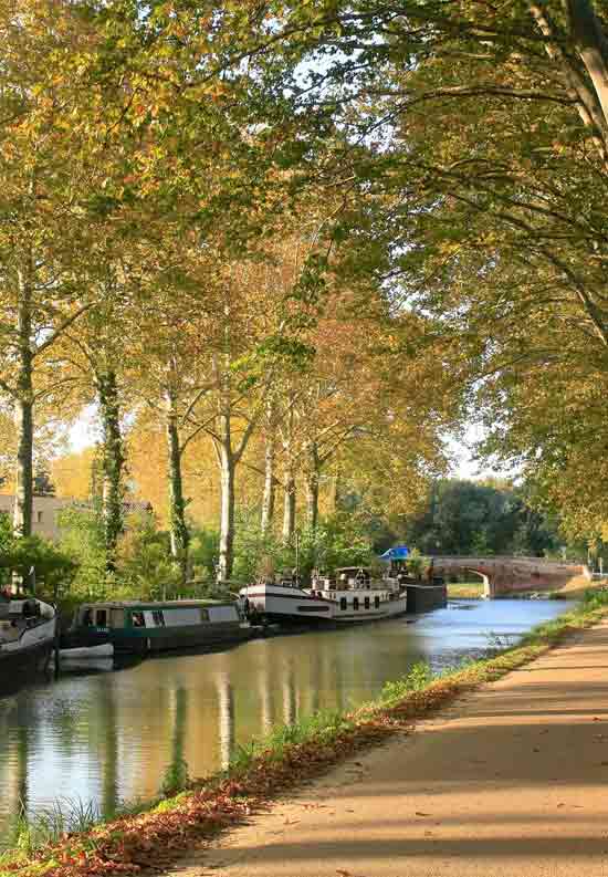 Canal du Midi  Toulouse