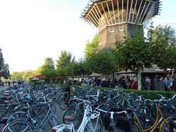 Vélos garés devant la brasserie Brouwerij’t IJ