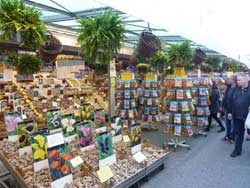 Vente de différentes variétés de bulbes de tulipes au Bloemenmarkt (marché aux fleurs) d'Amsterdam