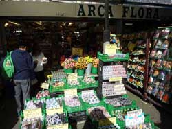 Vente de bulbes de tulipes, narcisses, perce-neige, oeillets, violettes, pivoines et orchidées sur le marché aux fleurs d'Amsterdam
