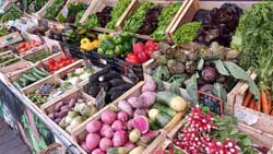 Au jardin toulousain, photo de fruits et légumes, marché Victor Hugo de Toulouse