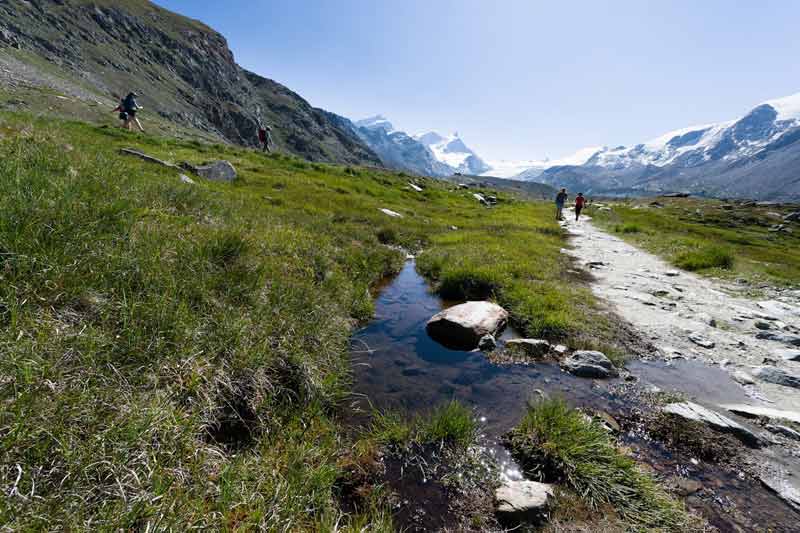 Randonnée en montagne près d’un camping 5 étoiles, entre sommets enneigés et vallées verdoyantes