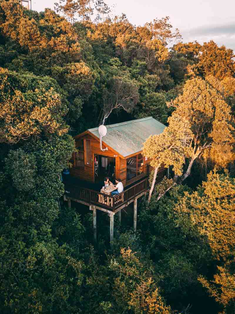 Cabane en bois perchée au cœur de la forêt avec terrasse sur pilotis et couple profitant du coucher de soleil