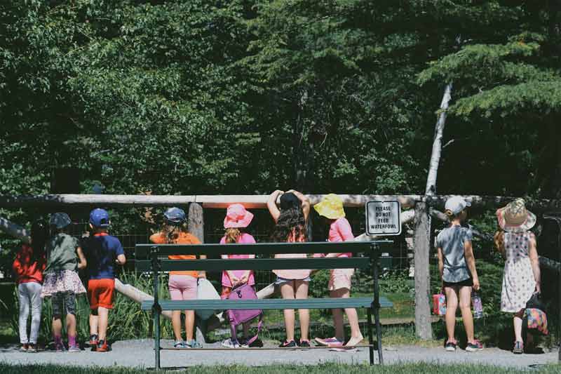 Enfants observant des animaux derrière une clôture en bois dans un parc forestier