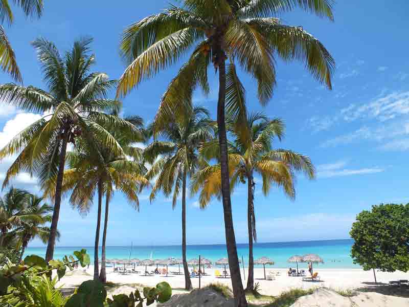Paysage paradisiaque de la plage cubaine de Varadero, avec des palmiers élancés, du sable blanc et une mer turquoise sous un ciel bleu ensoleillé