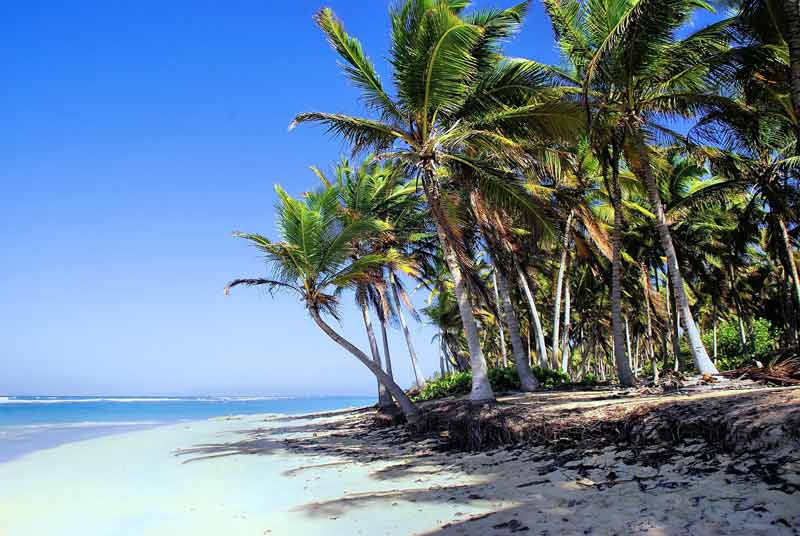 plage à Punta Cana