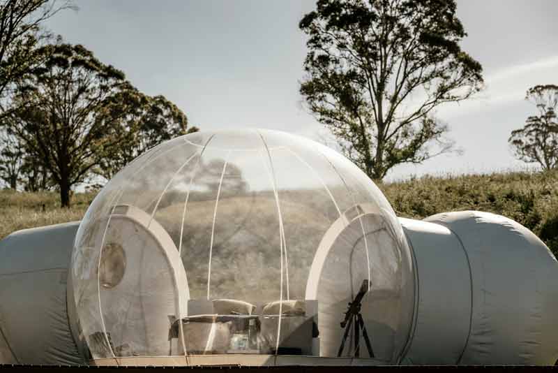 Bulle transparente de glamping installée en pleine nature, avec lit et mobilier visibles à travers la paroi, entourée d'arbres et de paysage sauvage 