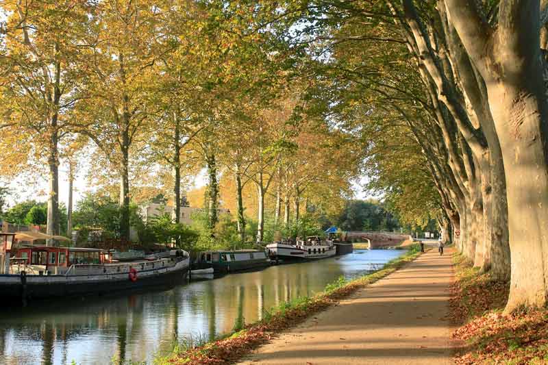 Balade à vélo le long du Canal du Midi bordé de platanes, avec des péniches amarrées sous la lumière dorée de l'automne