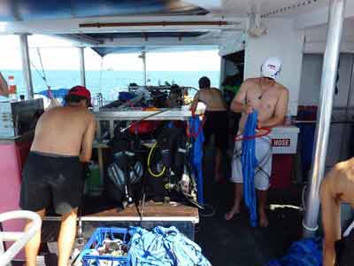 personnel qui prépare du matériel de plongée pour un baptême de plongée dans les eaux de la grande barrière de corail (Australie)