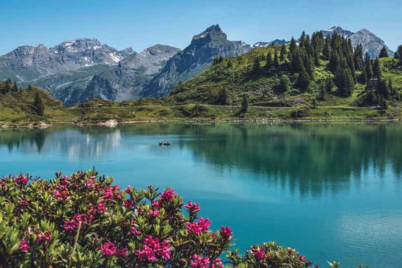 Lac de montagne entouré de sommets alpins et de fleurs en été, parfait pour des vacances nature et ressourçantes