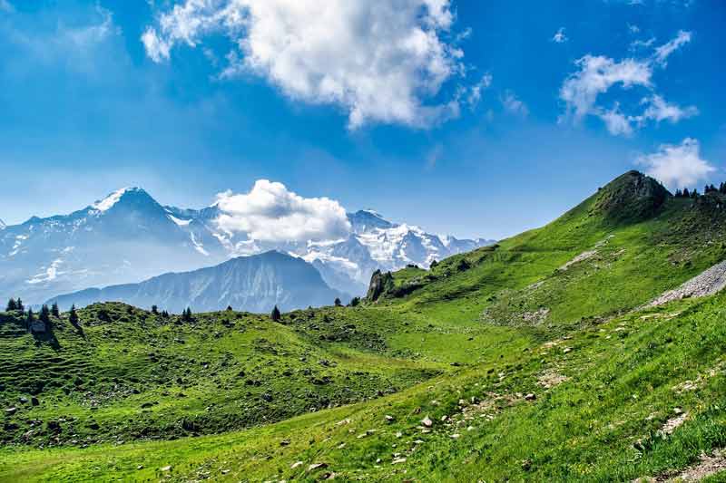 Paysage alpin en été avec prairies verdoyantes et sommets enneigés sous un ciel bleu, idéal pour des vacances à la montagne