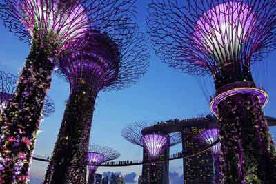 Vue générale de Gardens by the Bay avec les arbres artificiels, Singapour (Asie du sud-est)