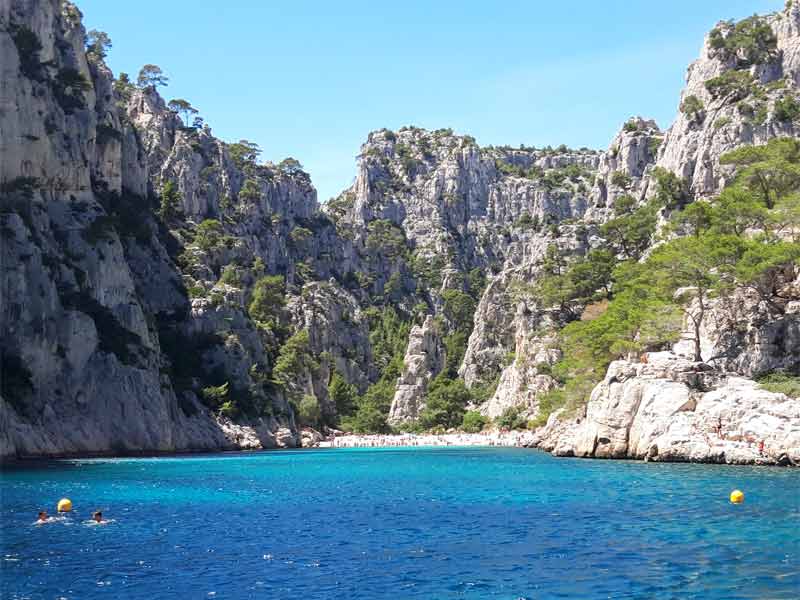 Vue spectaculaire d'une calanque aux eaux turquoise bordée de falaises escarpées et de pins, sous un ciel bleu éclatant,
en Provence