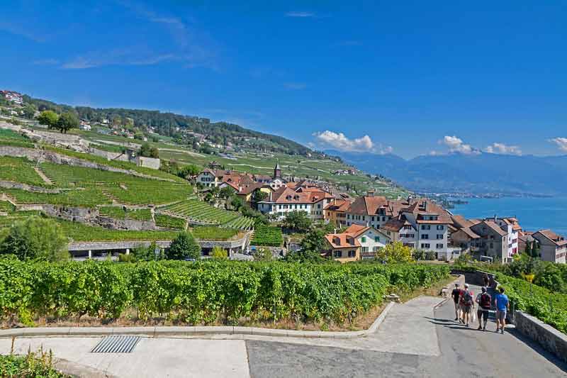 Promeneurs dans les vignobles en terrasses de Lavaux, surplombant un village pittoresque et le lac Léman, avec les Alpes en toile de fond