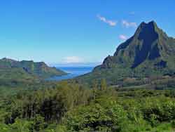 Vue sur la nature luxuriante de Moorea, Polynésie française