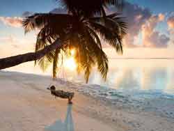jeune mariée en voyage de noce sur une balançoire au bord de l'océan Indien