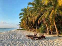 Transats réservés pour un couple en voyage de noce sur une plage des Seychelles