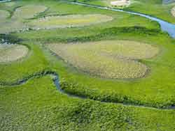 Cœur de Voh, formation végétale naturelle au nord-ouest de la Grande Terre en Nouvelle-Calédonie