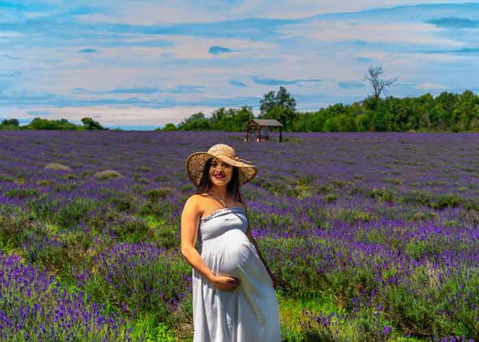 Femme enceinte dans un champ de lavande avec une robe blanche et un chapeau de soleil