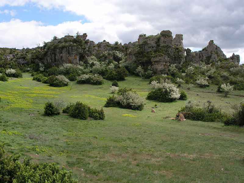 Rajal del Gorp, causse du Larzac (Millau)