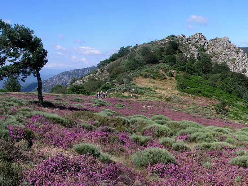 Vue de la Palombière près du hameau de Douch, Haut-Languedoc