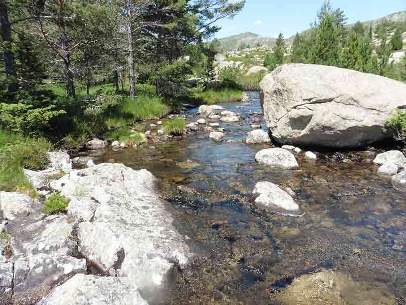ruisseau dans les Pyrénées, Ariège