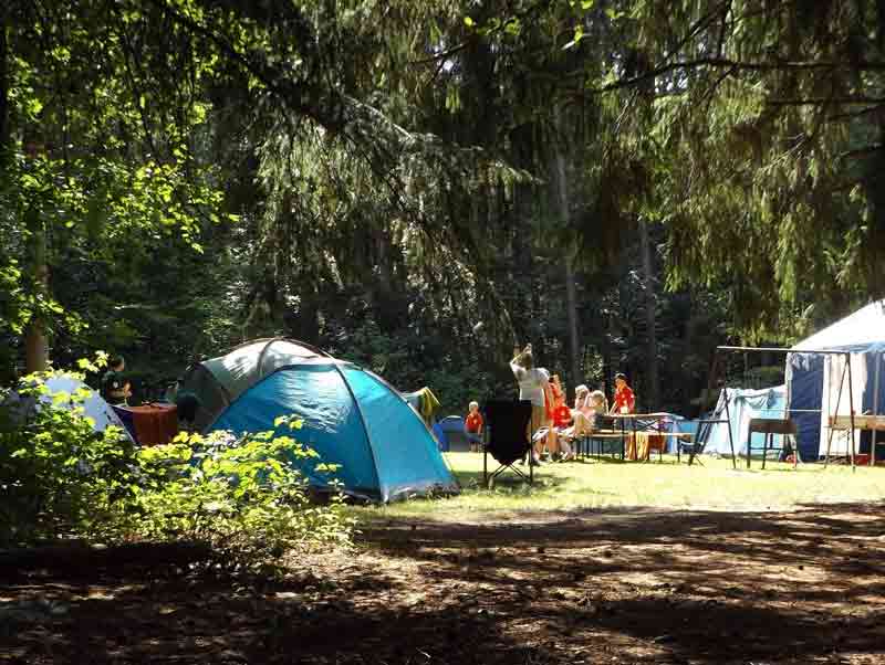Tentes installées dans un camping municipal pas cher