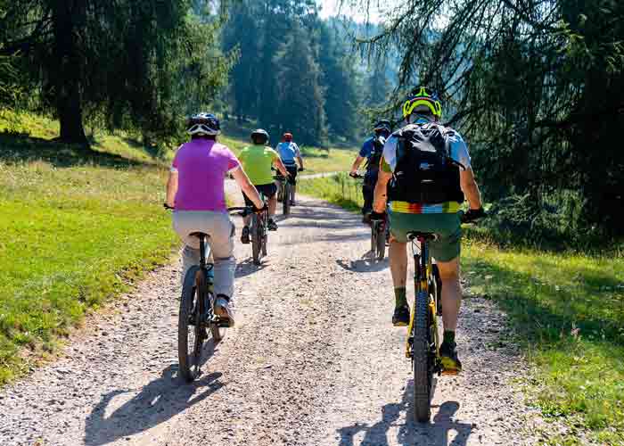 groupe qui fait du VTT sur un chemin dans une fort