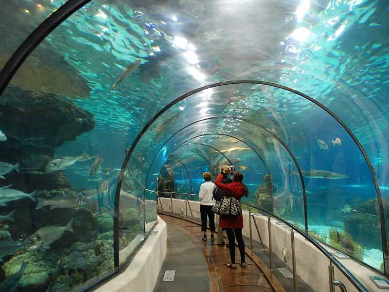 Tunnel de l'aquarium de Barcelone