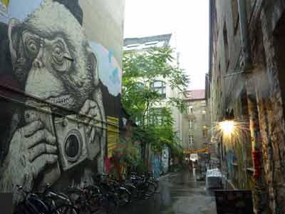 Graffiti d'un singe tenant un appareil photo dans la cour de la Haus Schwarzenberg