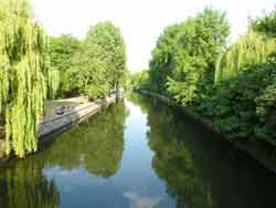 Vue sur le Landwehrkanal bordé de grands arbres