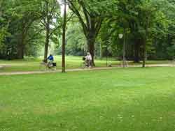 Cyclistes dans le Tiergarten