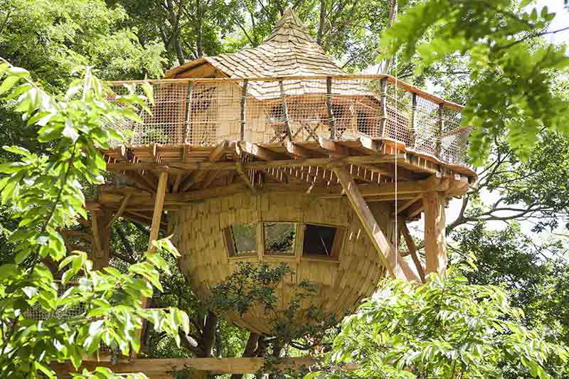 cabane dans les arbres pour un week end insolite en amoureux