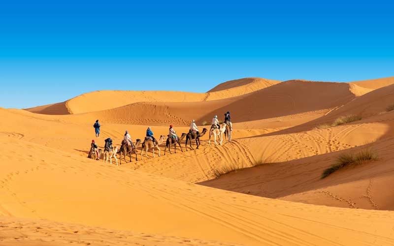 balade à dos de chameau dans le désert du Sahara
