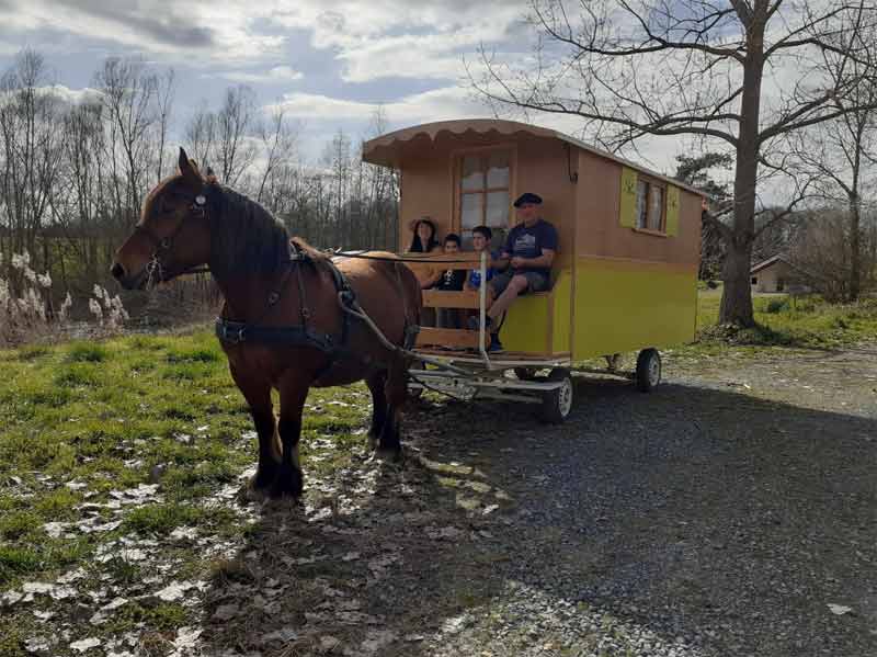 Roulotte tirée par un cheval à Bassillon Vauze, France