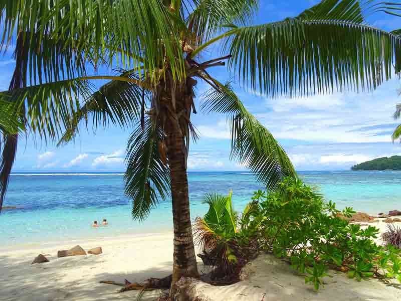 plage des Seychelles