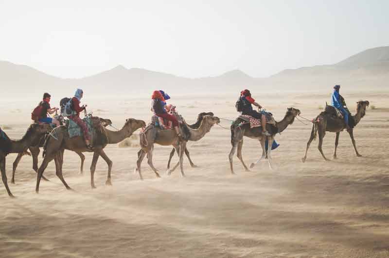 Excursion en dromadaire lors d’un voyage organisé pour personne seule