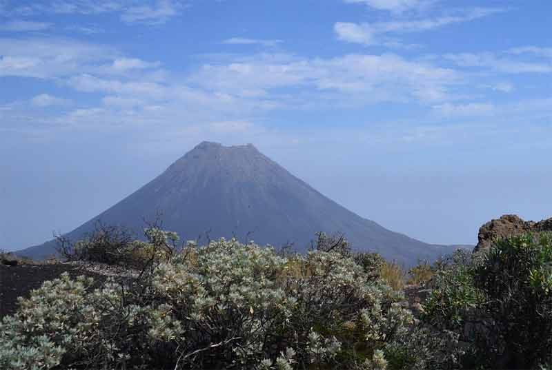 Pico do Fogo, le volcan emblématique de l'île de Fogo au Cap-Vert, se détachant sur un ciel bleu au-dessus d'une végétation arbustive volcanique