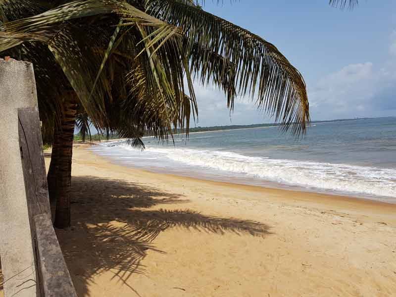 Plage tropicale de Grand-Béréby en Côte d’Ivoire, dans la baie des Sirènes, avec palmiers et mer calme