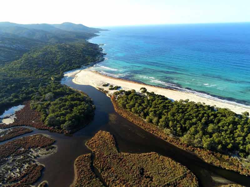 Plage de Saleccia vue du ciel (désert des Agriates, Corse, France)