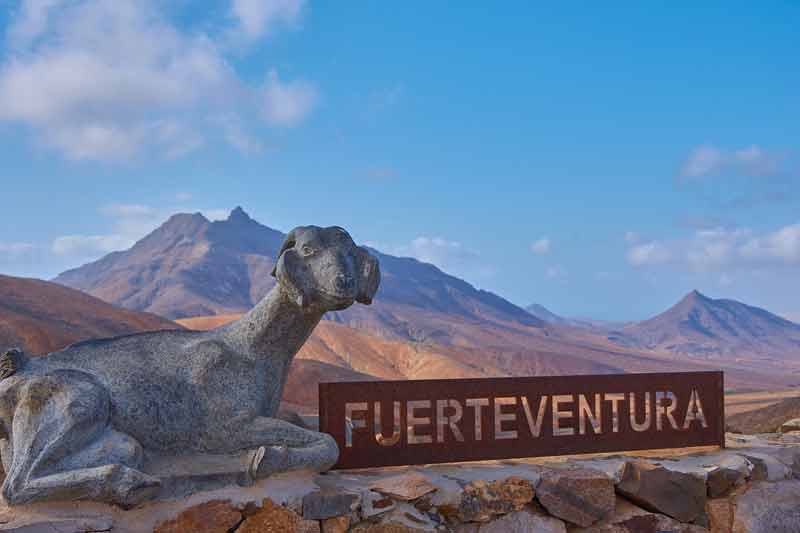 Pancarte Fuerteventura dans le désert de Fuerteventura (Espagne, Europe)