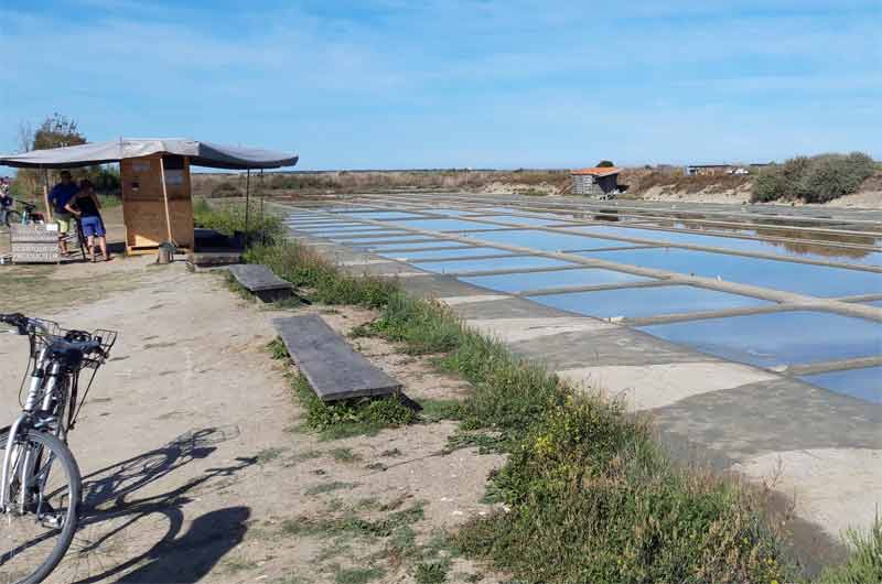 Marais salants de Loix sur l’île de Ré avec cabane de saunier, vélo et bancs en bois pour les visiteurs