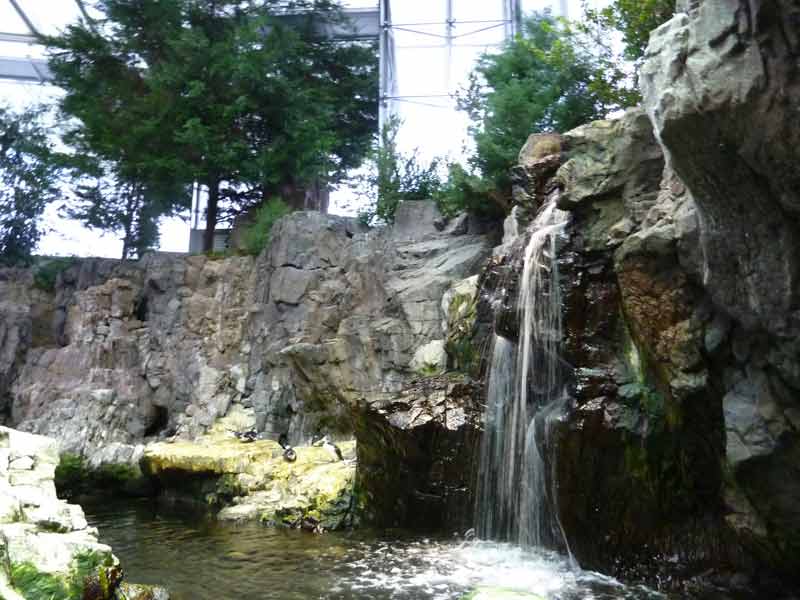 Cascade à l'intérieur de l'océanarium de Lisbonne (Portugal)