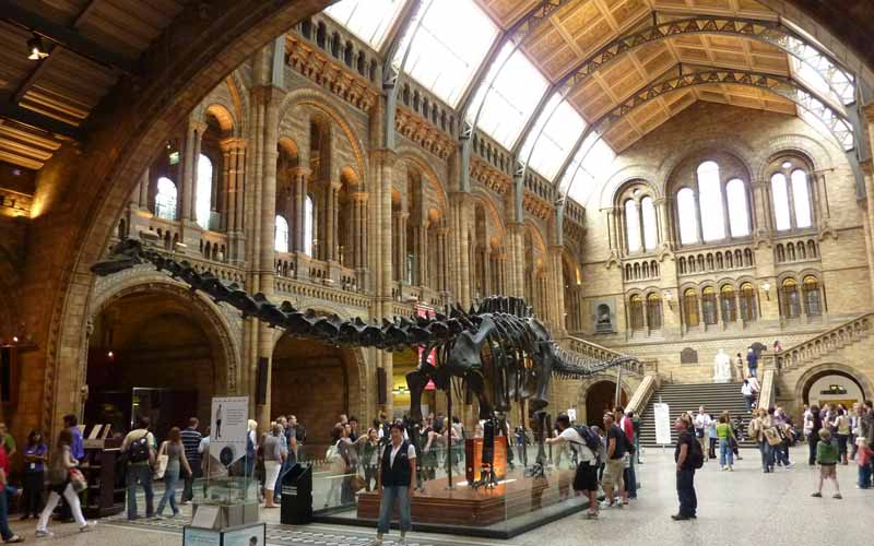 Hall d’entrée du musée d'histoire naturelle de Londres (Central Hall) dominé par le squelette d’un diplodocus