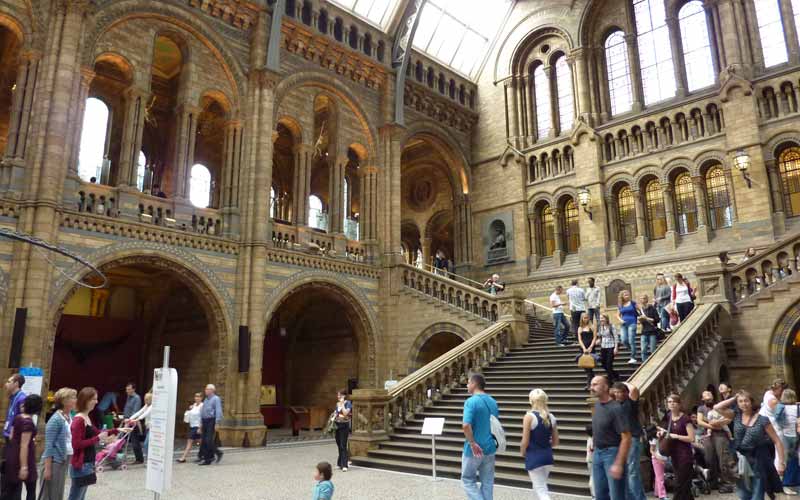 Hintze Hall (musée d’histoire naturelle de Londres)