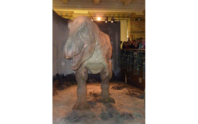 T-Rex animé au Musée d'Histoire Naturelle de Londres