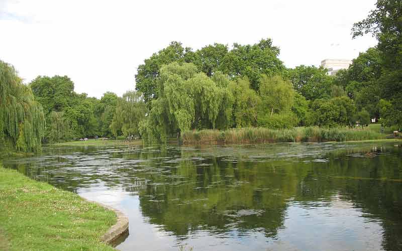 Duck Island (île aux canards) de Saint James’s park