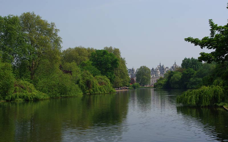 Vue sur le palais de Buckingham